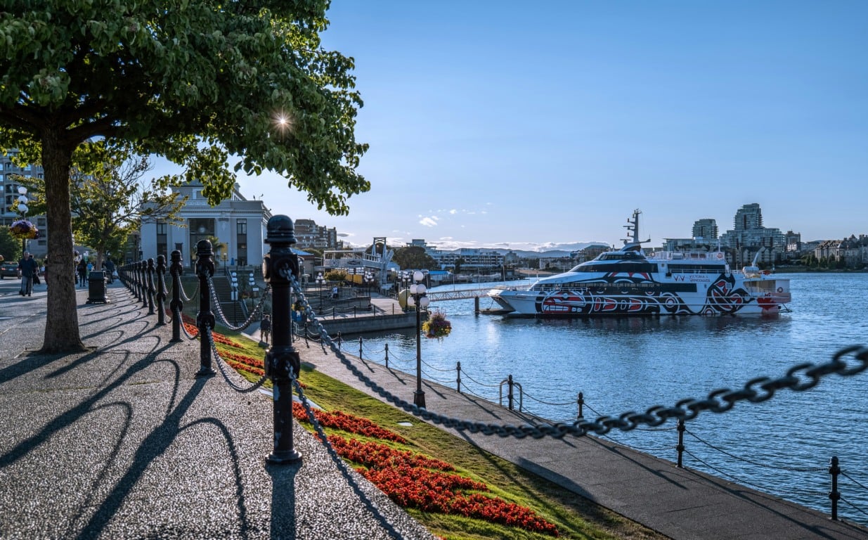 Parada do Cruzeiro Parada do Cruzeiro