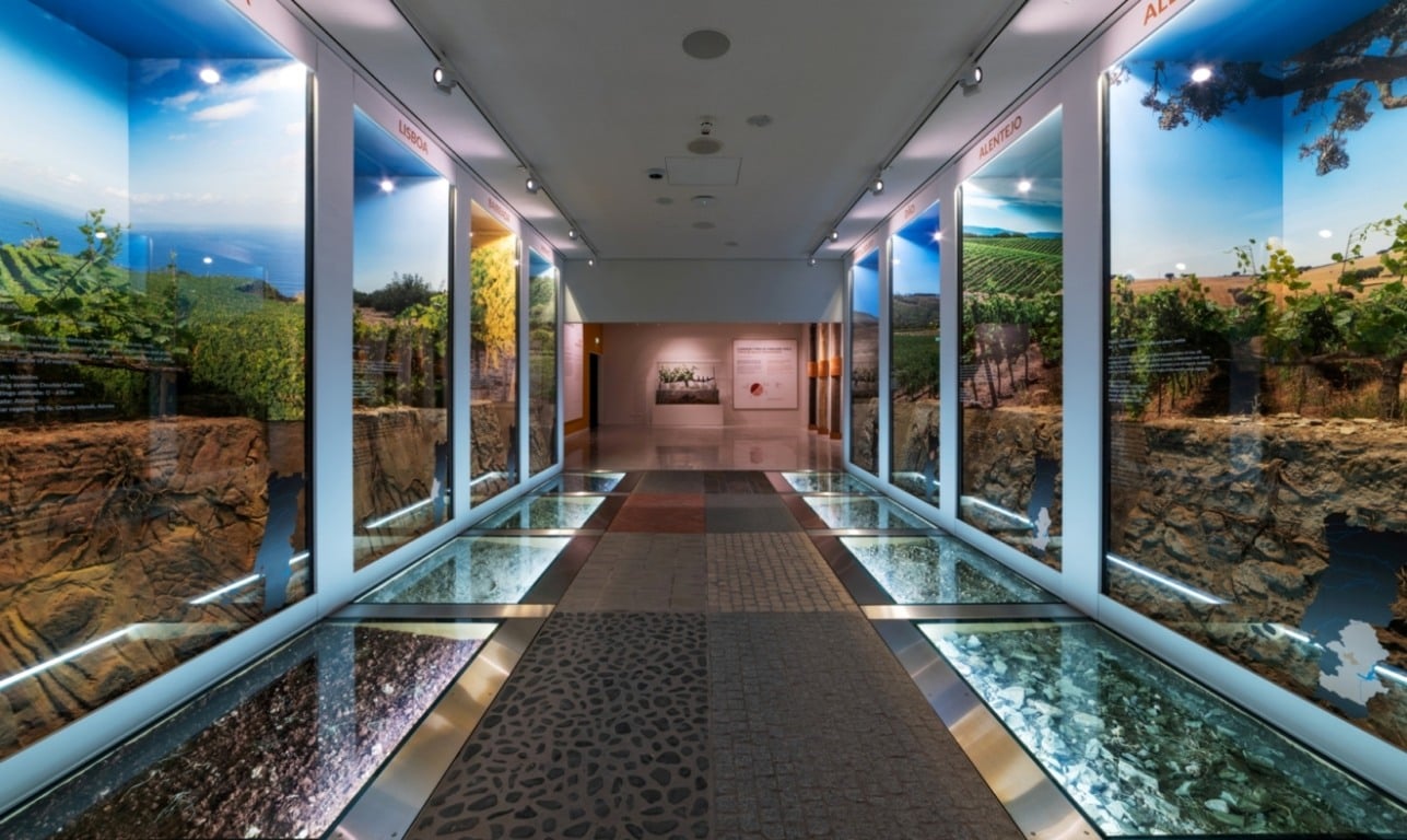 Experiência no Wow Porto Experiência no Wow Porto