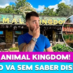 10 dicas do PARQUE ANIMAL KINGDOM!