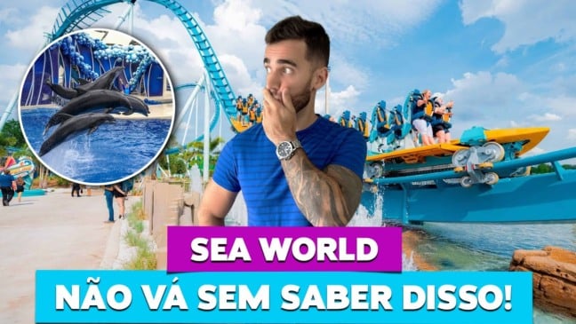 10 dicas do parque SEA WORLD Orlando!
