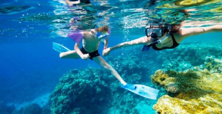 Dicas e ingressos para o mergulho na Isla Catalina