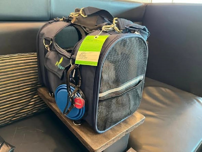 Dicas para levar o animal de estima&ccedil;&atilde;o em viagem de avi&atilde;o 