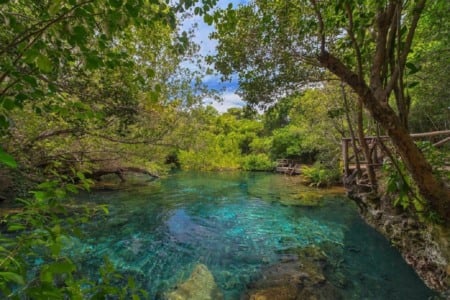 Cenotes de Ojos Indígenas + Avistamento de animais Cenotes de Ojos Indígenas + Avistamento de animais
