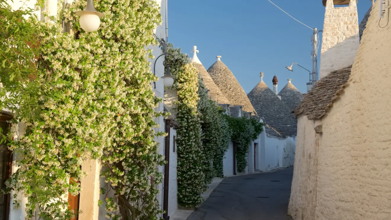 Constru&ccedil;&otilde;es chamadas trulli