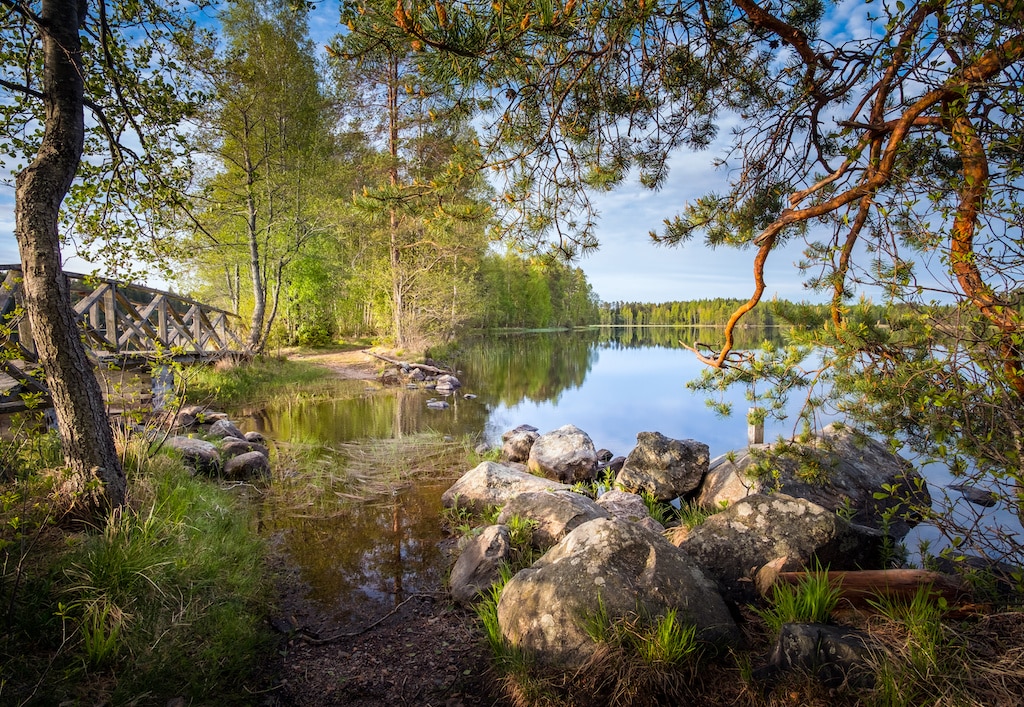 Liesj&auml;rvi