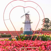 25 melhores destinos para passar a lua de mel no Brasil