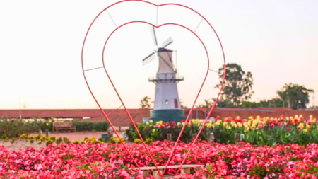 25 melhores destinos para passar a lua de mel no Brasil 25 melhores destinos para passar a lua de mel no Brasil