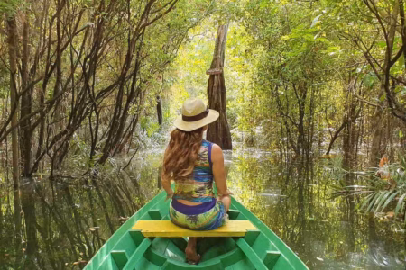 Rota Canoa Bosque Encantado Alter do Chão
