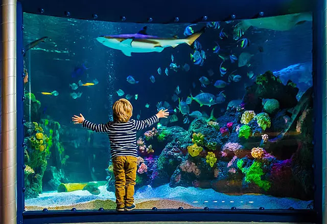 SEA LIFE® Hannover SEA LIFE® Hannover