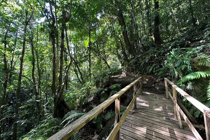 Vermont Nature Trail