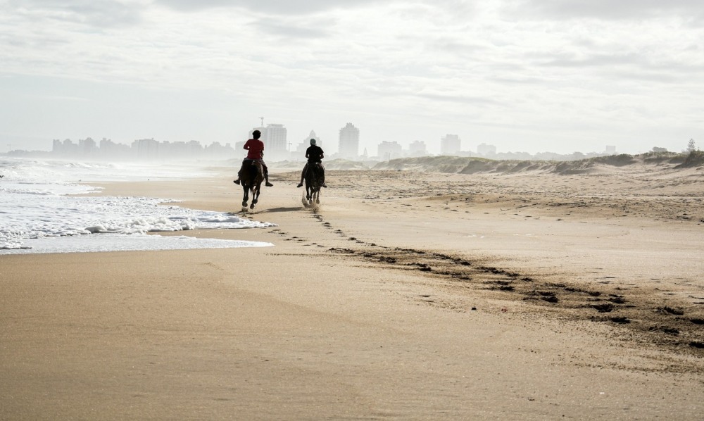 Participe do nado com cavalos pela Playa Blanca Participe do nado com cavalos pela Playa Blanca