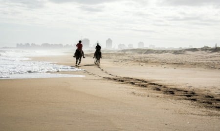 Participe do nado com cavalos pela Playa Blanca Participe do nado com cavalos pela Playa Blanca