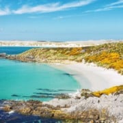 Dicas para planejar uma viagem &agrave;s Ilhas Falkland