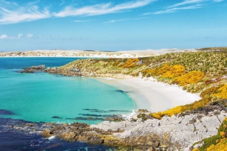 Dicas para planejar uma viagem às Ilhas Falkland Dicas para planejar uma viagem às Ilhas Falkland