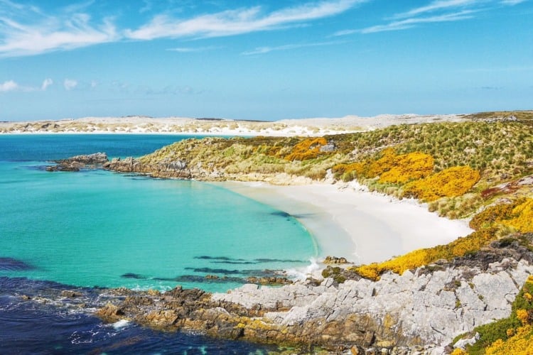 Dicas para planejar uma viagem às Ilhas Falkland Dicas para planejar uma viagem às Ilhas Falkland