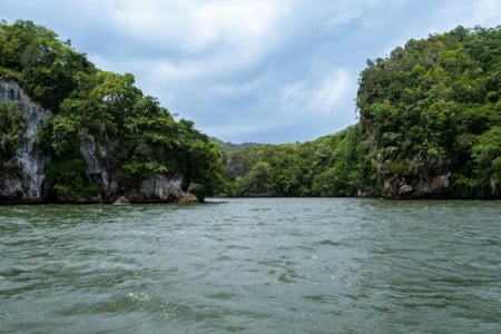 Baleias de Samaná e Parque Nacional los Haitises: Ingresso!