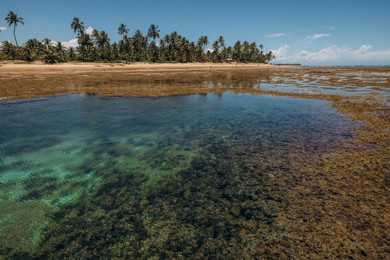 Piscinas naturais de Moreré na Ilha de Boipeba Piscinas naturais de Moreré na Ilha de Boipeba