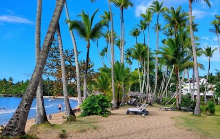 Passeio para ver as baleias em Samaná e ir à Playa Rincón