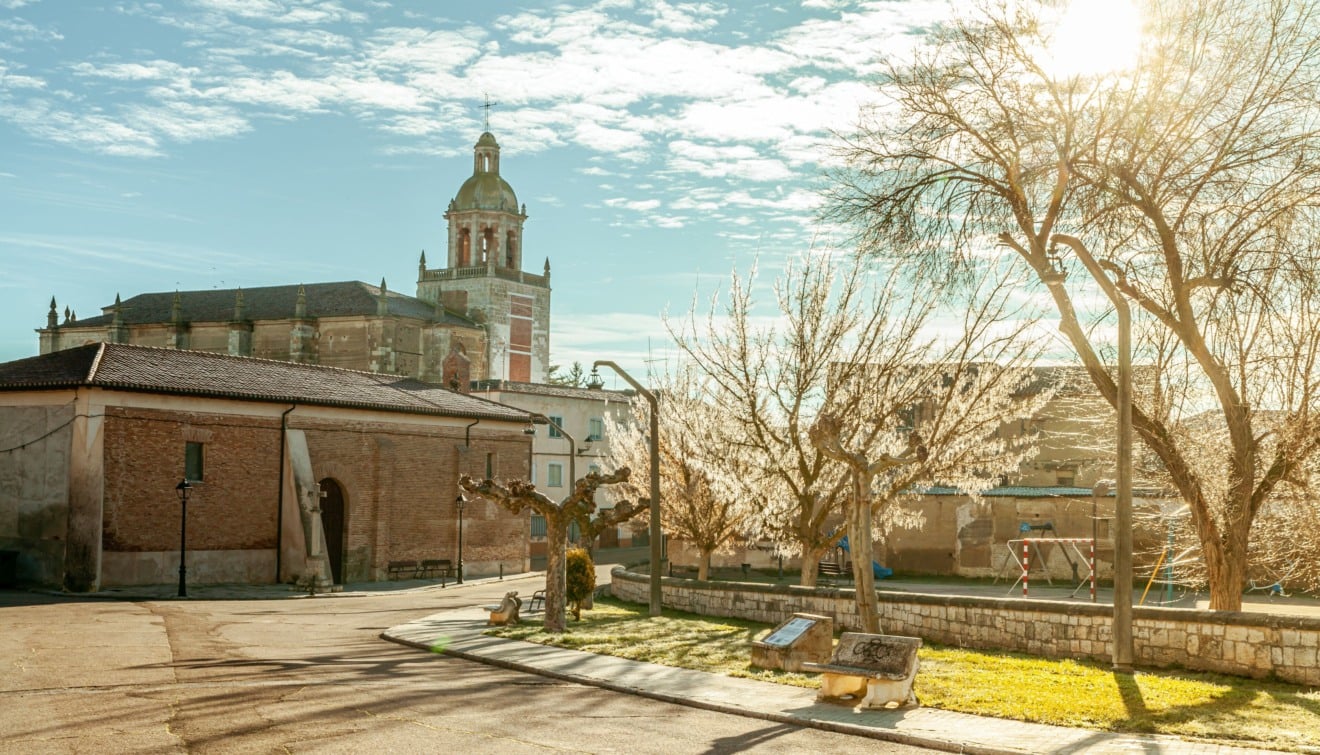 Carri&oacute;n de los Condes