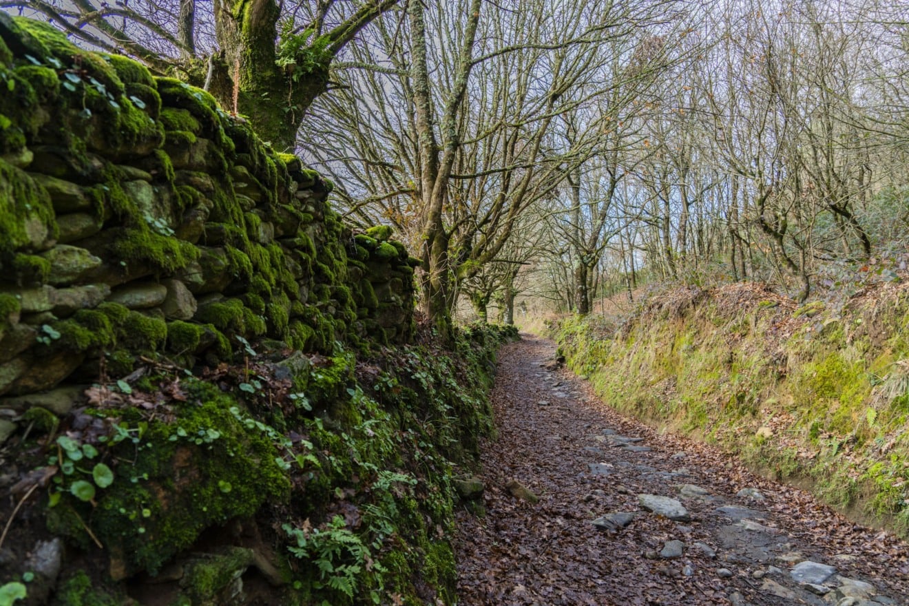 Caminho por Sarria