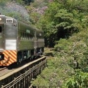Trem de Curitiba a Morretes