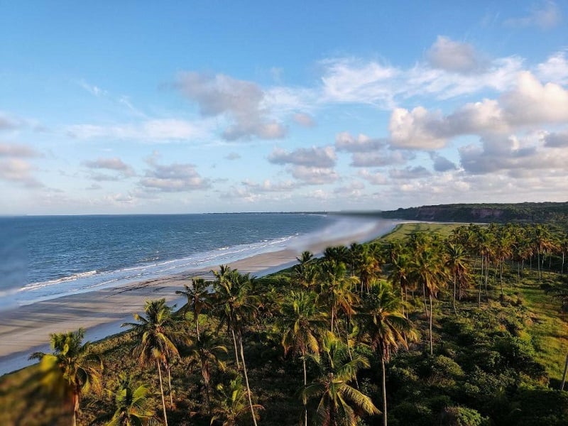 Dicas sobre Barra de Mamanguape Dicas sobre Barra de Mamanguape