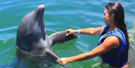 Nado com golfinhos no Dolphin Explorer em Punta Cana Nado com golfinhos no Dolphin Explorer em Punta Cana