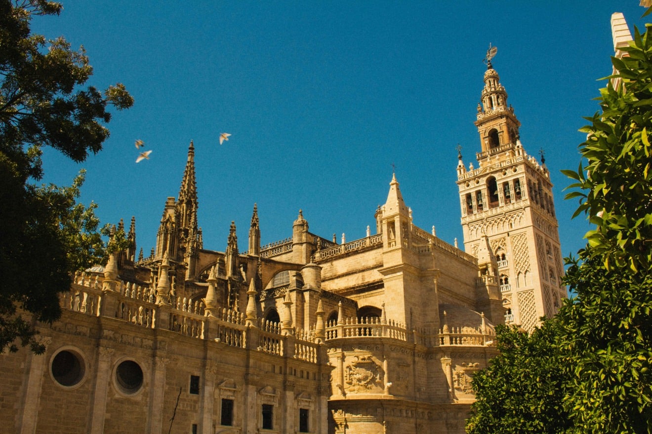 Le&oacute;n