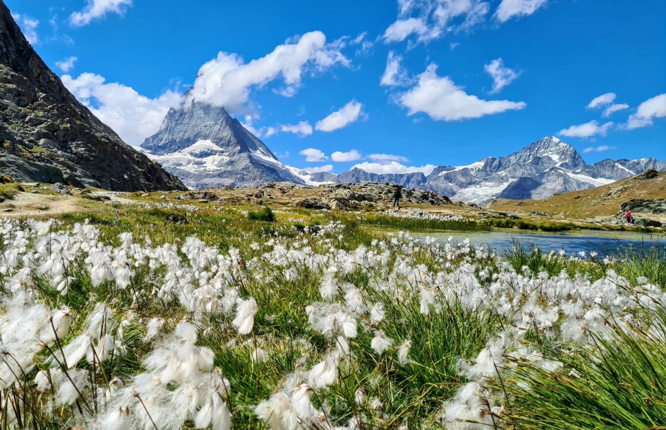 Campos abertos em Zermatt Campos abertos em Zermatt