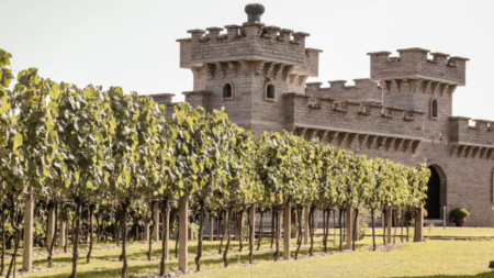 8 melhores vinícolas no Vale dos Vinhedos 8 melhores vinícolas no Vale dos Vinhedos