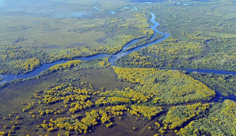 Pantanal - MT Pantanal - MT