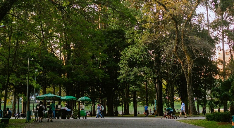 Parque Ibirapuera em São Paulo Parque Ibirapuera em São Paulo