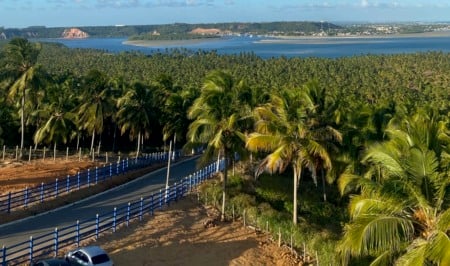 Excursão à praia do Gunga de ônibus saindo de Maceió Excursão à praia do Gunga de ônibus saindo de Maceió