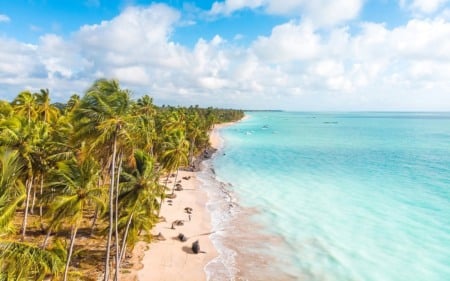 Excursão à praia Ponta do Mangue saindo de Maceió
