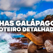 O Roteiro Mais COMPLETO das Ilhas Galápagos! Com preços e dia a dia detalhado O Roteiro Mais COMPLETO das Ilhas Galápagos! Com preços e dia a dia detalhado