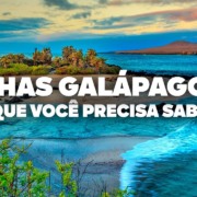 O Guia Mais COMPLETO das Ilhas Galápagos! Todas as dicas de viagem e preços O Guia Mais COMPLETO das Ilhas Galápagos! Todas as dicas de viagem e preços
