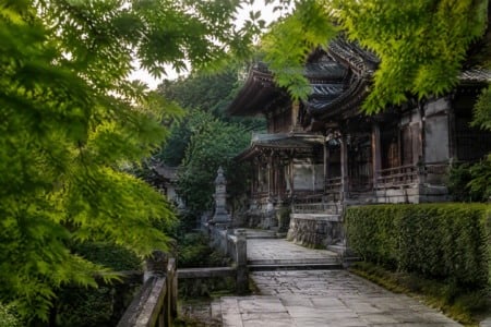 Roteiro de Kyoto e Nara: como organizar 4, 5 ou 6 dias em Kansai Roteiro de Kyoto e Nara: como organizar 4, 5 ou 6 dias em Kansai